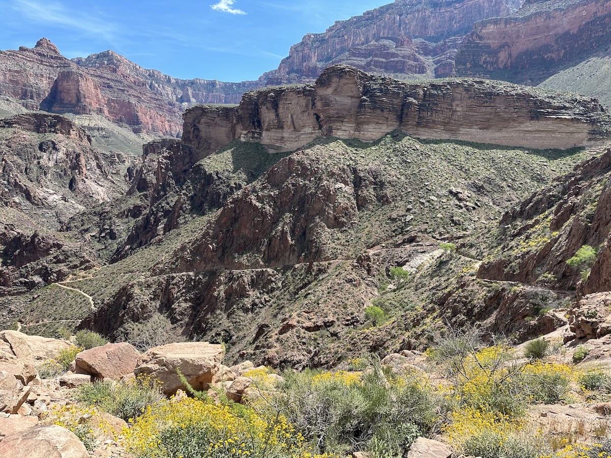 bright-angel-trail-wildflowers-canyon-landscape Hiking trail in the Grand Canyon with yellow wildflowers blooming among rocks and canyon scenery.