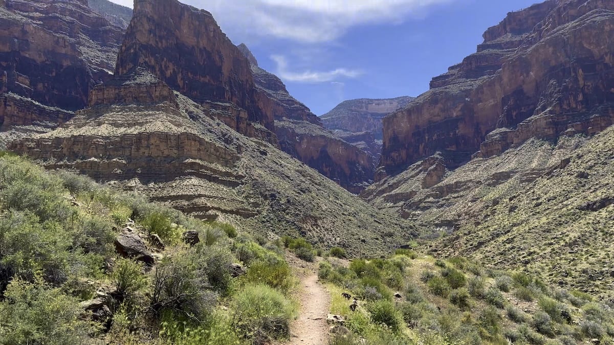 grand-canyon-tonto-trail-hiking Tonto Trail in Grand Canyon National Park, with a path winding through desert vegetation and rocky terrain.
