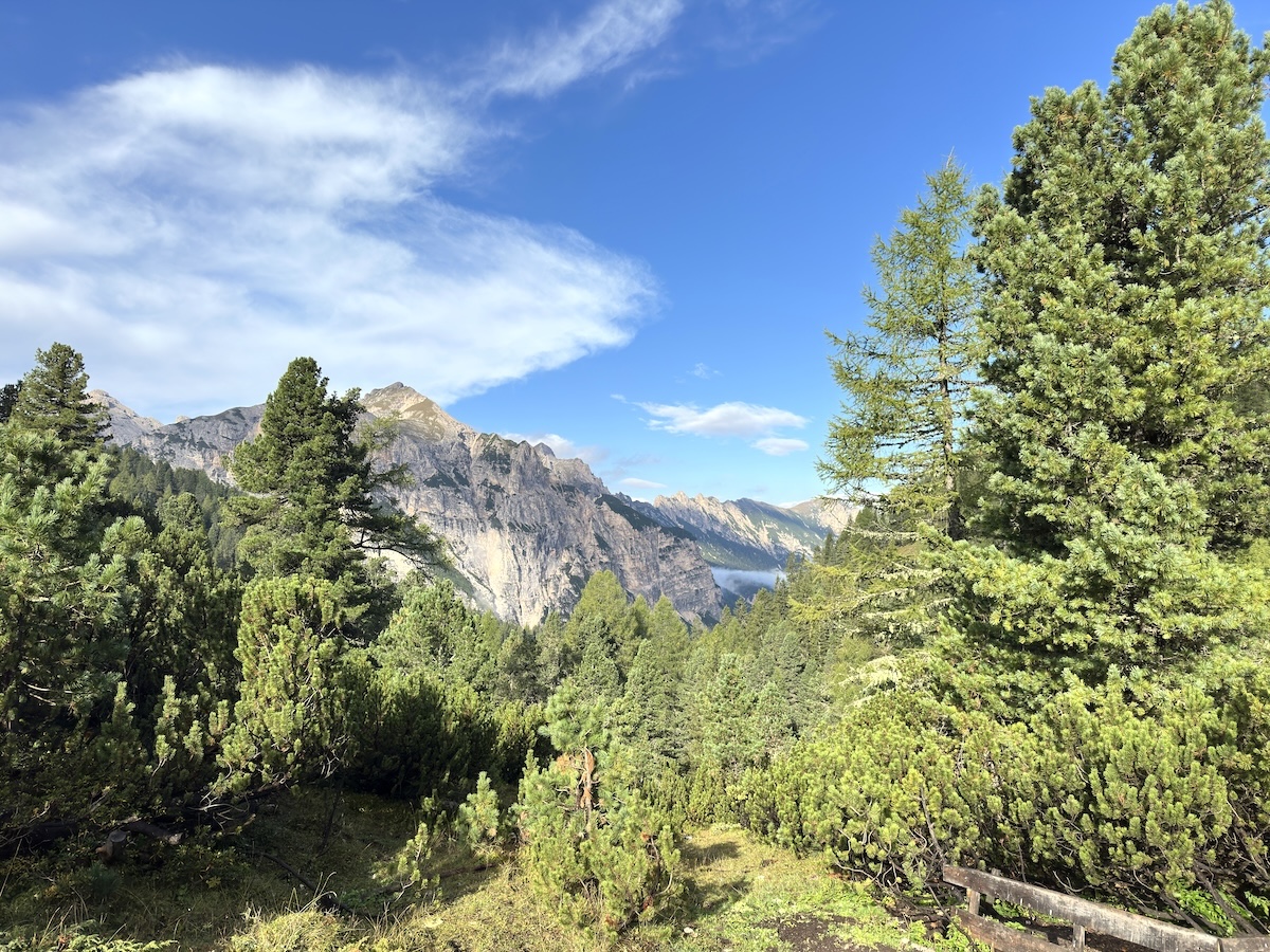 Forested valley and Dolomite cliffs on Alta Via 1