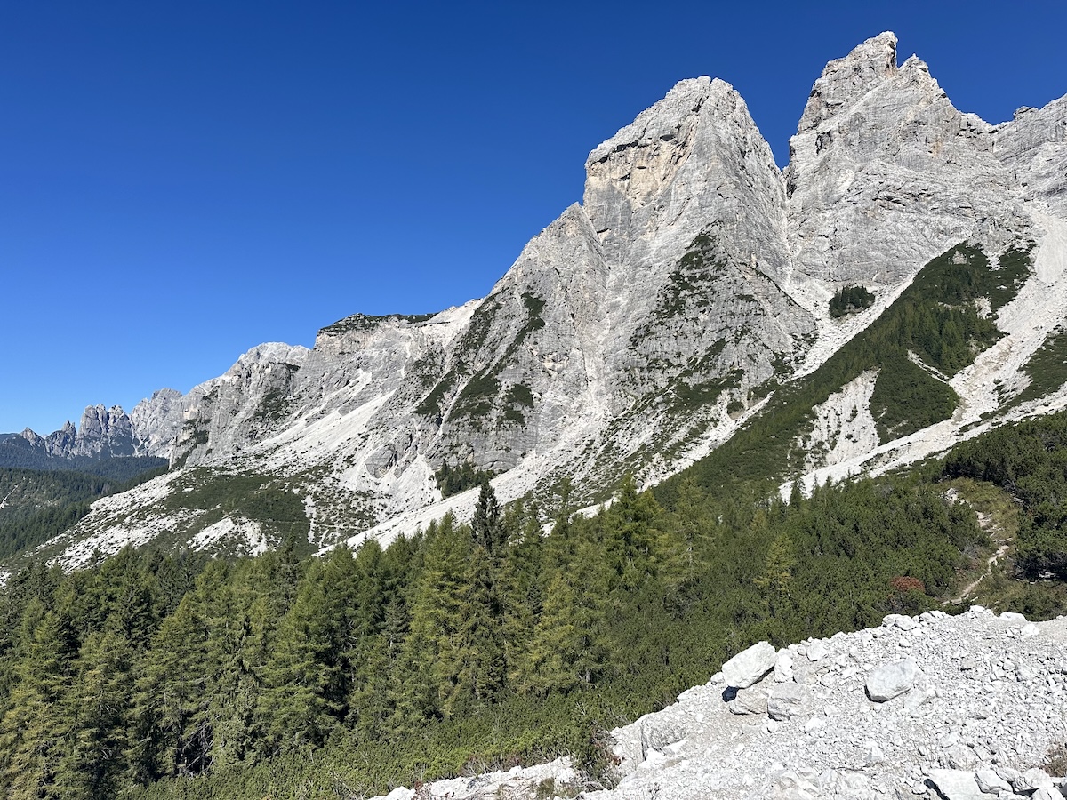 Jagged Dolomite peaks rising above forest