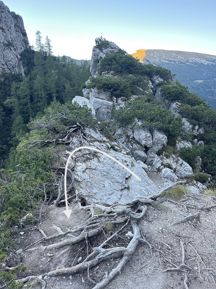 Roots and rocky path with arrow showing route