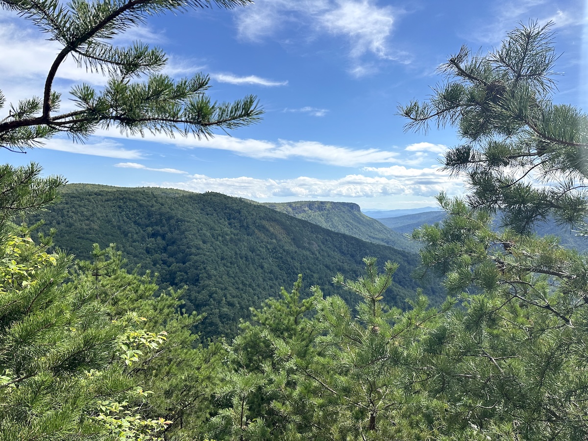 Tree framed image of the Linville Gorge Wilderness with Shortoff Mountain the background.