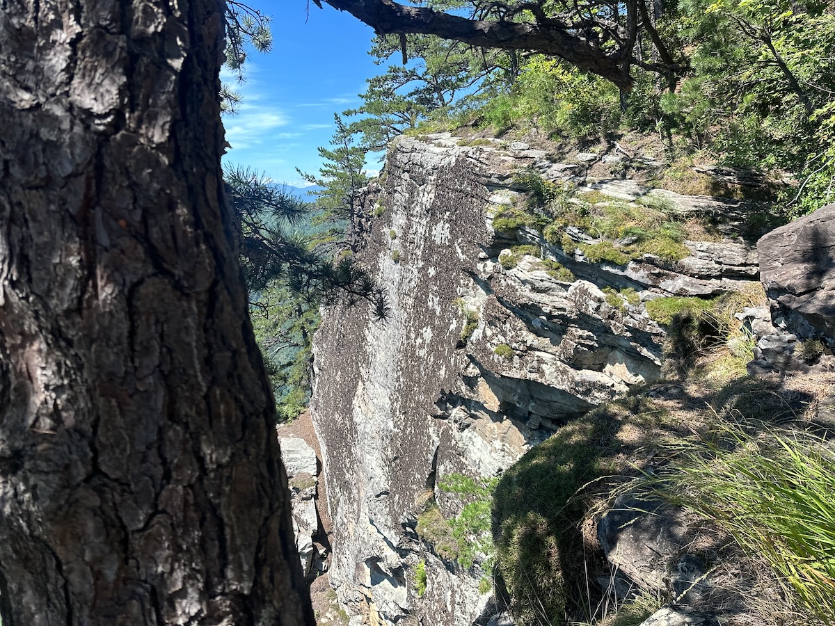Pine-framed cliff edge along the rim of Linville Gorge, Pisgah National Forest, North Carolina.