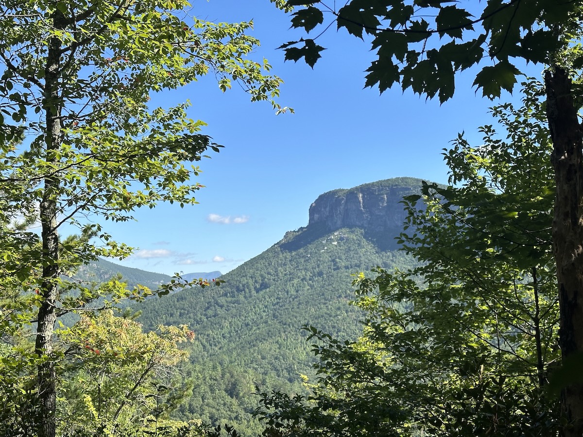 Framed view of Shortoff Mountain rising above Linville Gorge, seen through summer leaves.