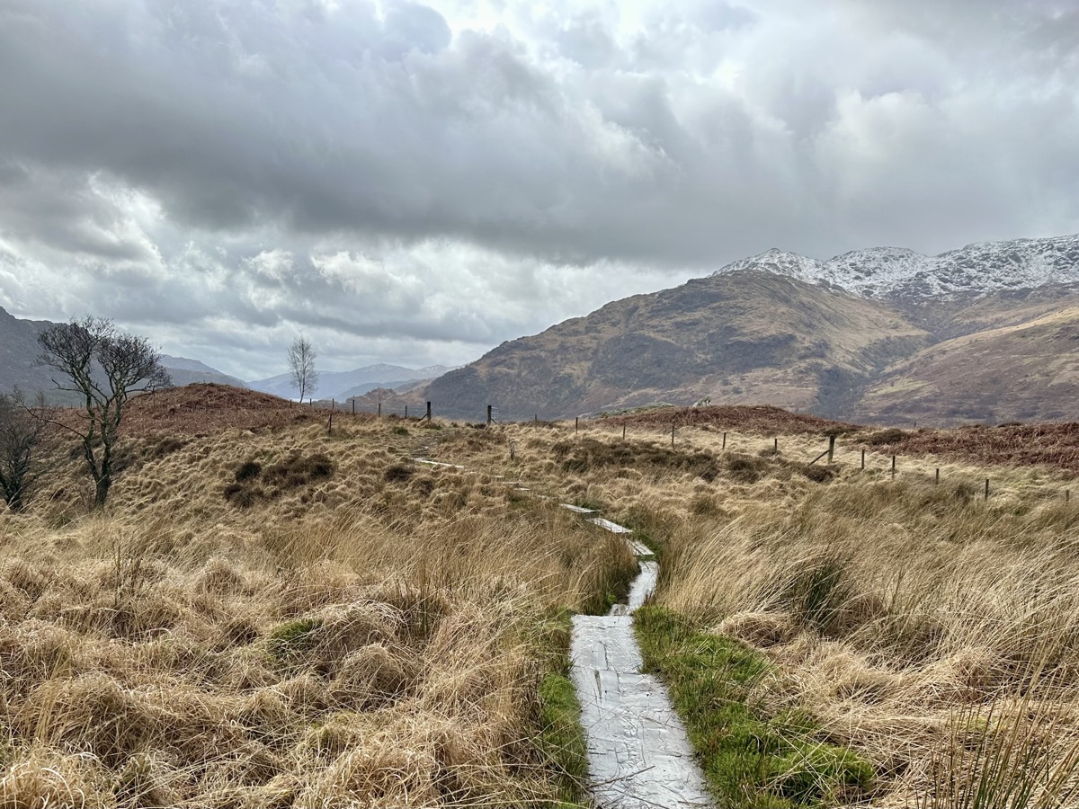 Bog boardwalk path through moorland grass in Glen Falloch on the West Highland Way with snow-capped mountains ahead