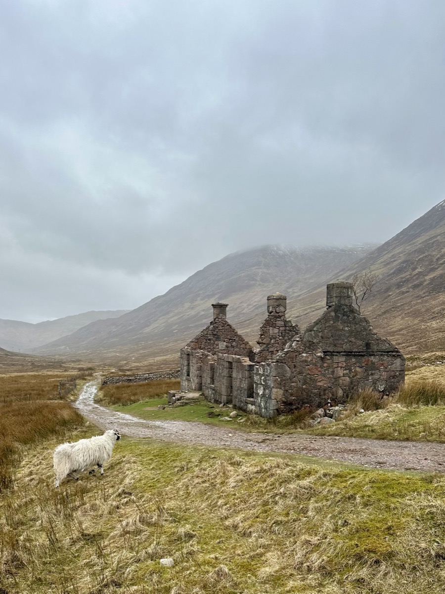 Roofless stone ruin with a mountain behind on the West Highland Way north of Kinlochleven