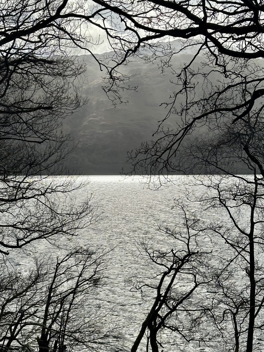 Moody view of Loch Lomond through bare winter branches on the West Highland Way