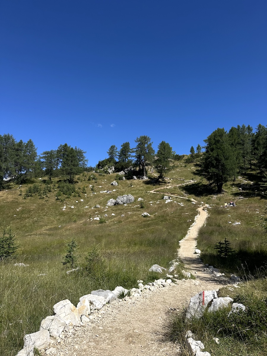 slemenova-spica-meadow-below-summit Trail crossing the grassy Sleme plateau below the Slemenova Špica summit, marked with a red and white blaze.