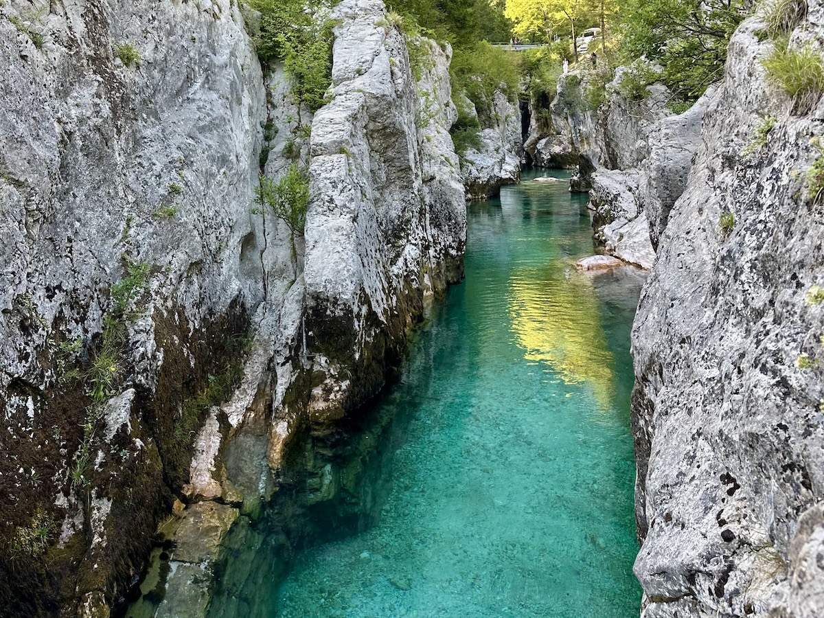 The narrow limestone walls of Velika Korita, the Great Soča Gorge, in Triglav National Park, Slovenia.