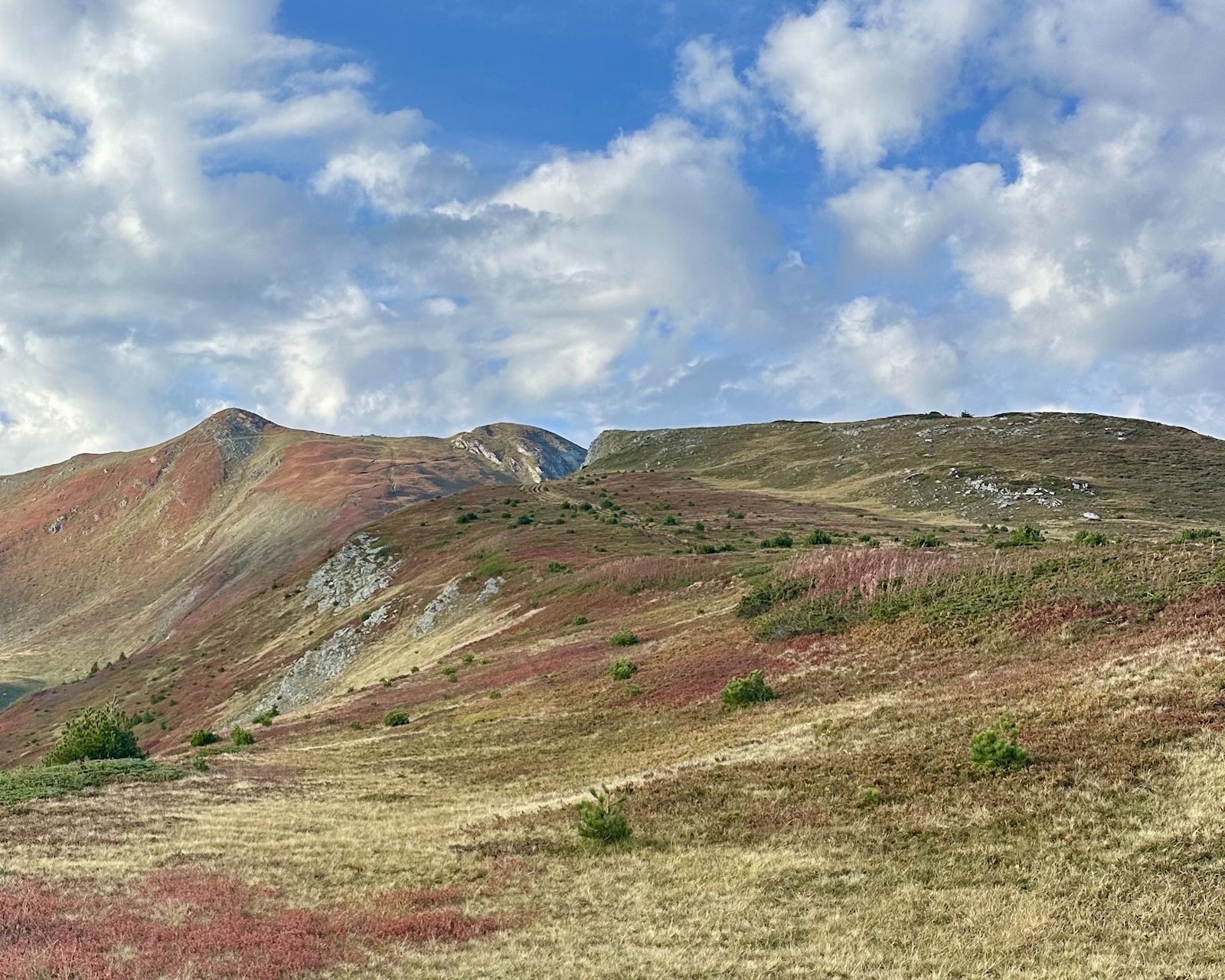 Grassy ridgeline with red autumn bilberry above Doberdol on the Peaks of the Balkans trail near the Albania and Kosovo border.